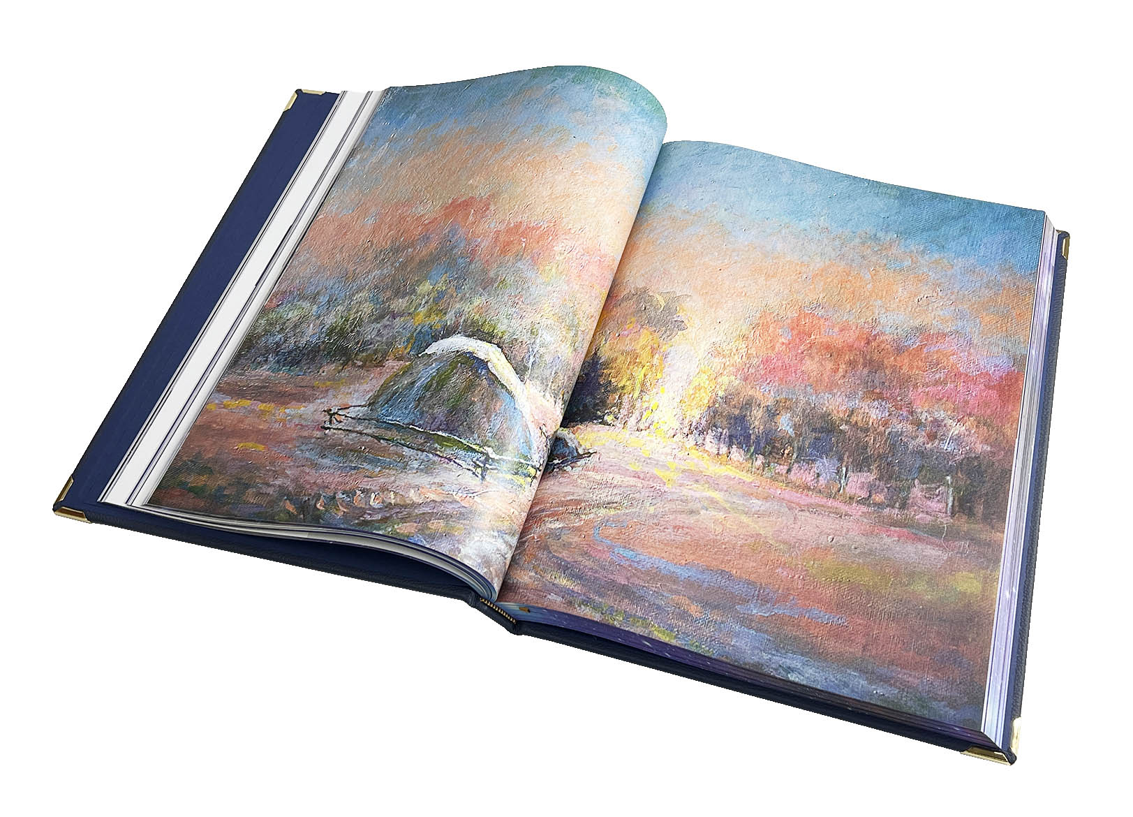 Подарочная книга "Человек и космос" Алексей Леонов - купить в Москве