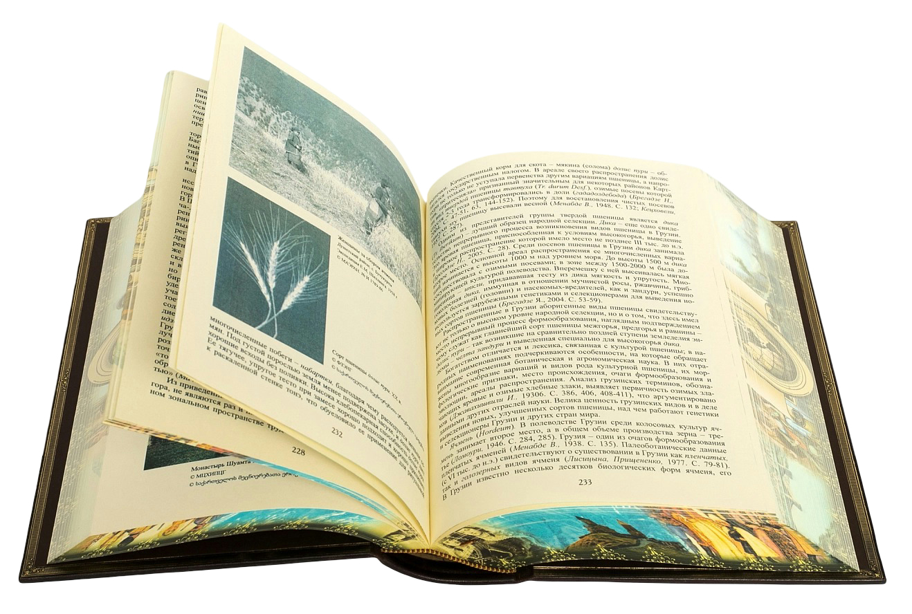 Подарочная книга "Грузины. Народы и культуры" - купить в Москве