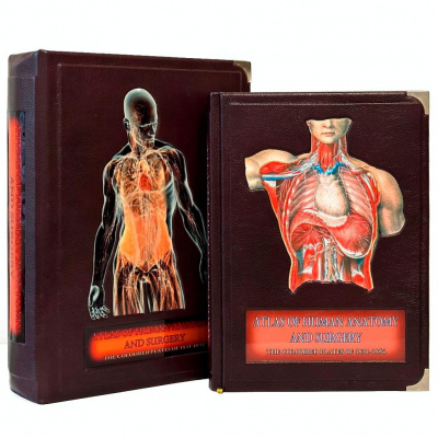 Atlas of Human Anatomy and Surgery "Bourgery Jean Marc, Jacob Nicolas Henri" - купить в Москве