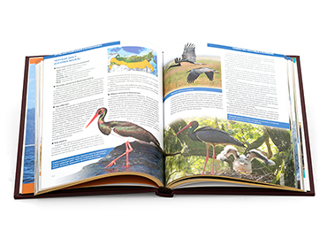 Подарочная книга 'Красная книга России'. - купить в Москве