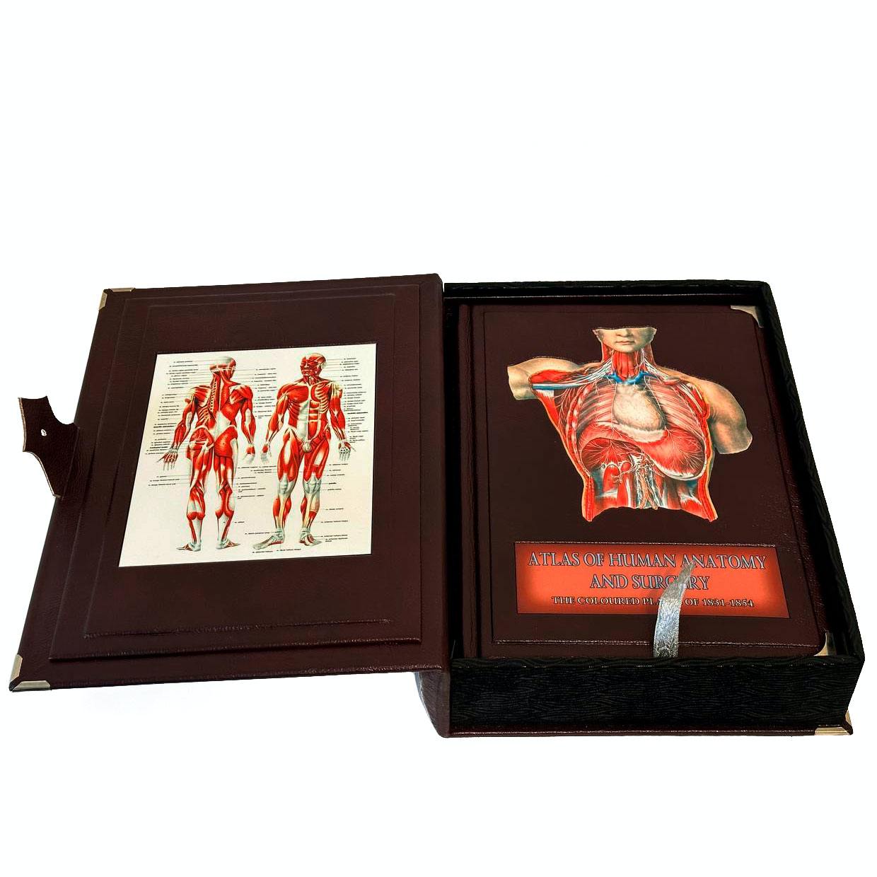 Atlas of Human Anatomy and Surgery "Bourgery Jean Marc, Jacob Nicolas Henri" - купить в Москве