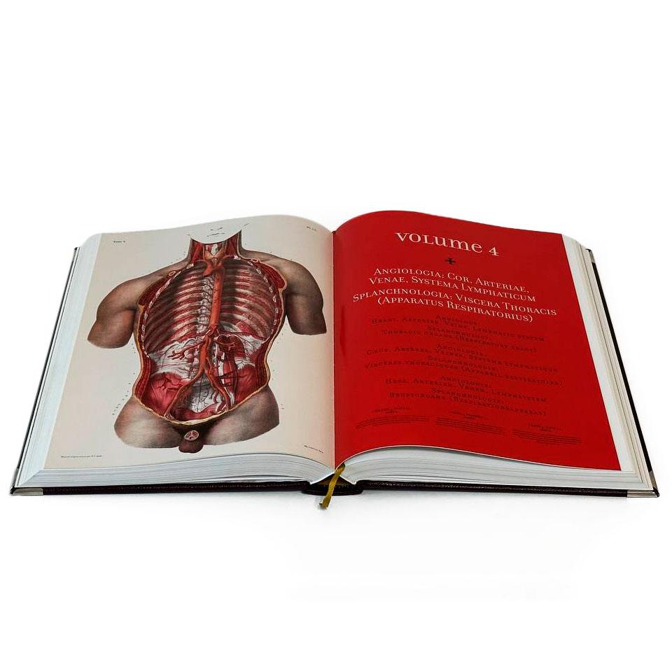Atlas of Human Anatomy and Surgery "Bourgery Jean Marc, Jacob Nicolas Henri" - купить в Москве