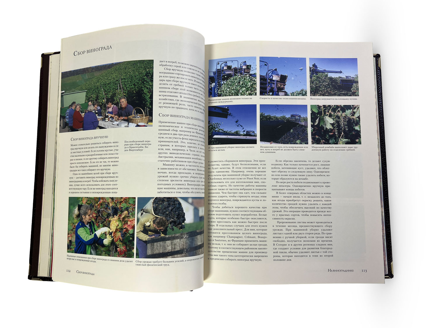 Подарочная книга "Вино" Андрэ Доминэ - купить в Москве