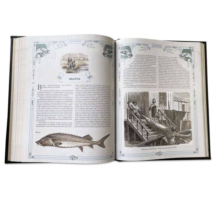 Подарочная книга "Большая книга русской рыбалки" Сабанеев Л.П. - купить в Москве