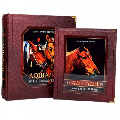 Подарочная книга "Лошади" Новая энциклопедия (в коробе) - купить в Москве