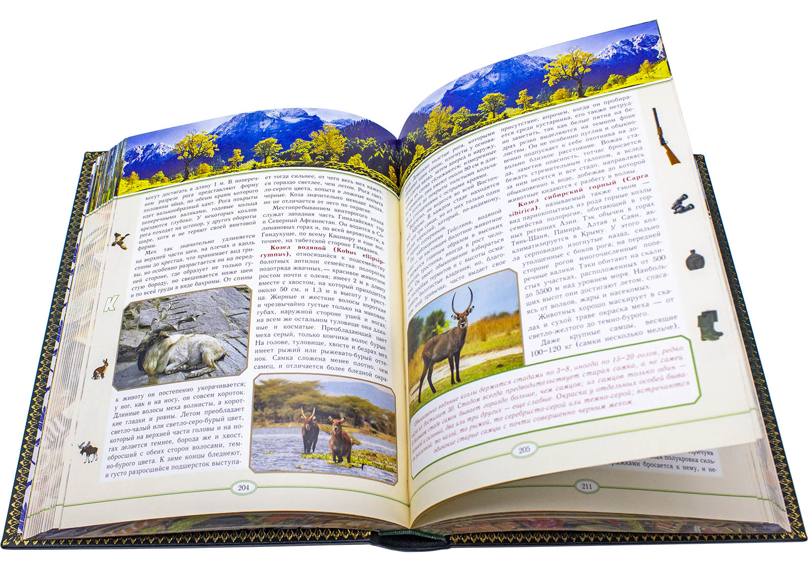 Подарочная книга "Русская охота" Сабанеев - купить в Москве